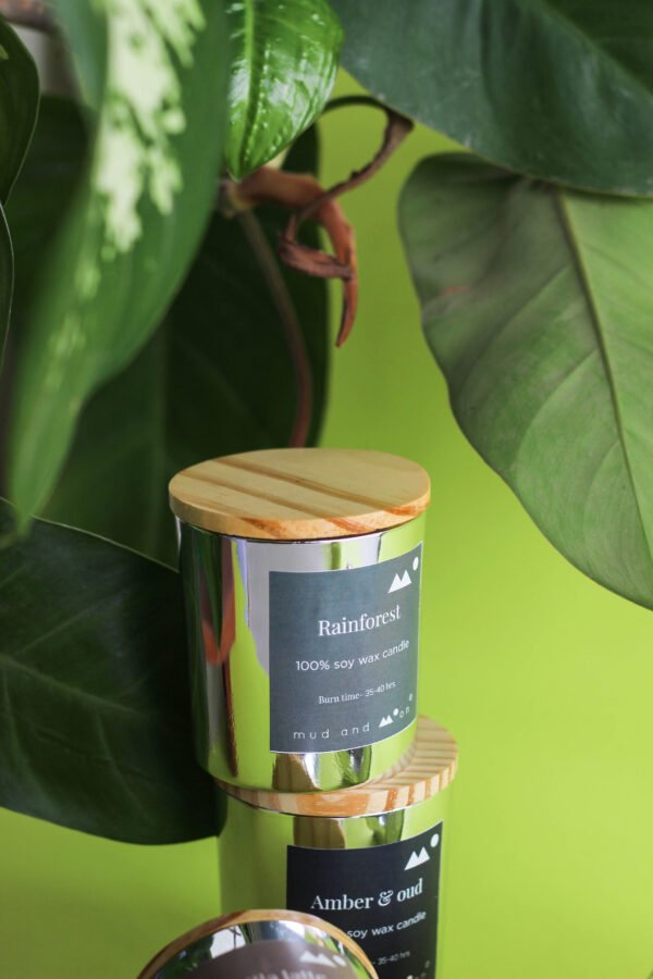 Rainforest - Image 2